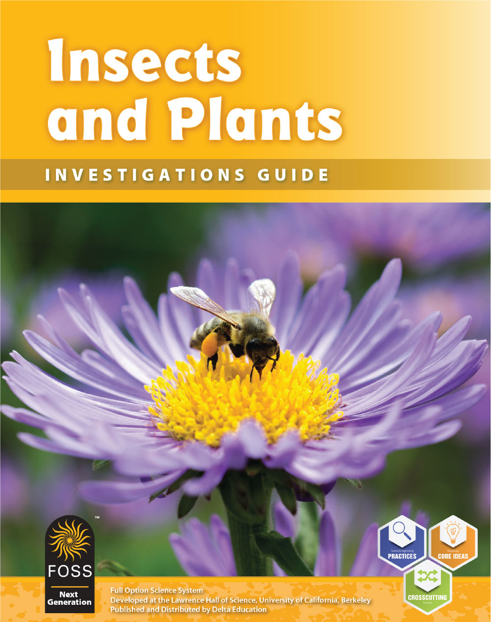Insects and Plants Investigations Guide